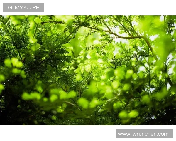 充满活力的绿色背景下足球球星高清唯美个性手机壁纸精选